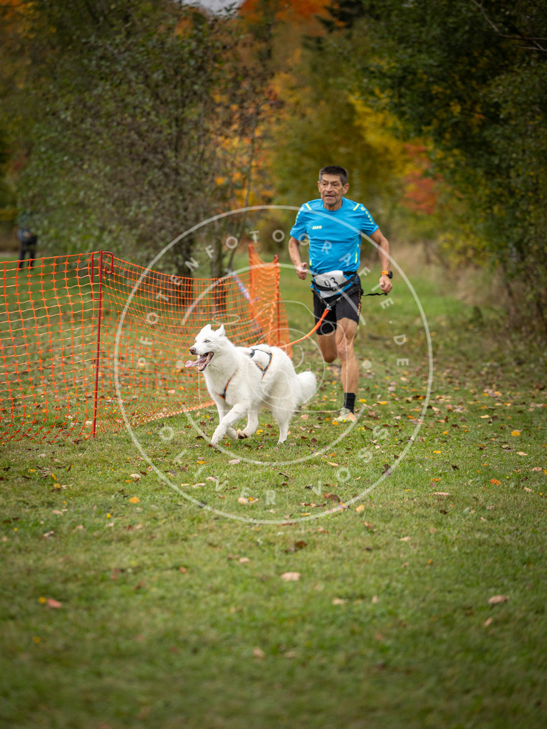Pfotenfotografie_DV3A3323 | Hundefotografie, Tierfotograf, Pfotenfotografie, Fotoshooting Hund, Hunde Portrait, Hundesport, Hundeportraits, Heideshooting, Hunde, Sportfotograf, Hundefotograf, Turnierhundsport, THS,  - Realisiert mit Pictrs.com