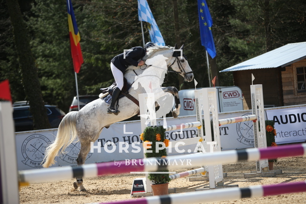 AS8V7154 | Willkommen bei Brunnmayr - Design & Fotografie – Ihrem Spezialisten für Reitturniere und Pferdeveranstaltungen in Oberösterreich, Salzburg und Bayern! Seit über 17 Jahren sind wir leidenschaftlich dabei.