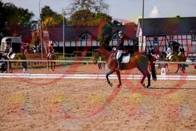 2026_10_03_Siefer-Hof_130229_Z81_56877828 | Professionelle Reitsport-, Turnier- und Eventfotografie von Robert Broda. Galerien mit ausgewählten und bearbeiteten Bildern direkt online ansehen und bestellen.