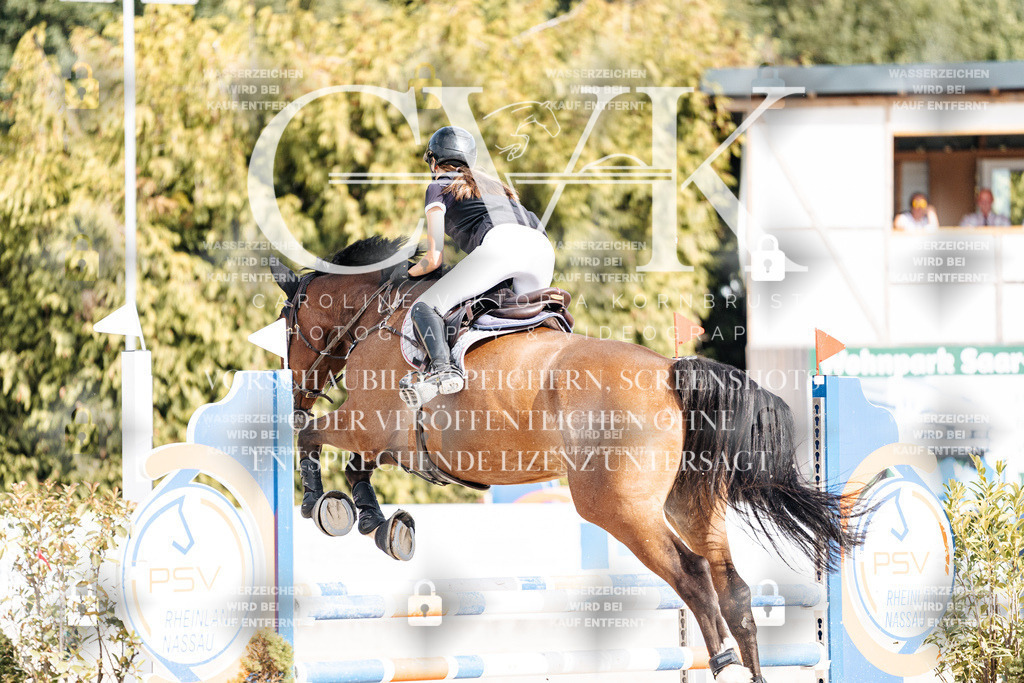 CK909059 | Turnierfotografie Pferdefotografie Trier Rheinland-Pfalz Pferdesport Reitsport Tierfotografie Sportfotografie Pferdevideo Pferdevideografie Equestrianvideography equestrianphotography  - Realisiert mit Pictrs.com