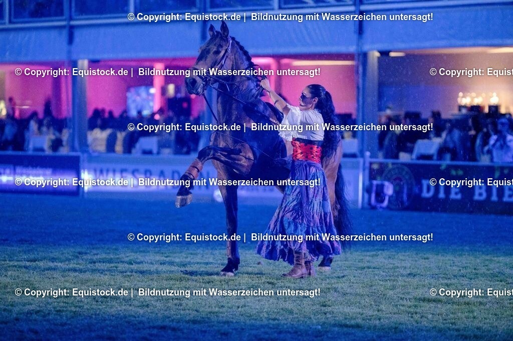 20250606_Lange-Pferdenacht_1113 | Foto: Thomas Hartig