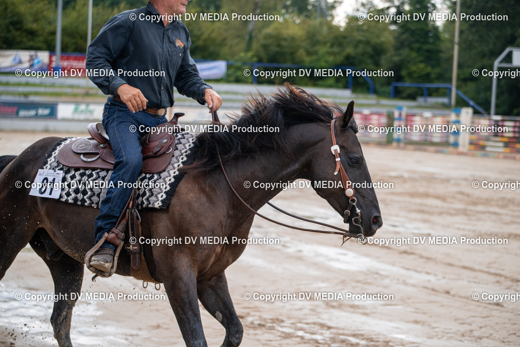 ZS2_4288 | dv-media-shop - Realisiert mit Pictrs.com