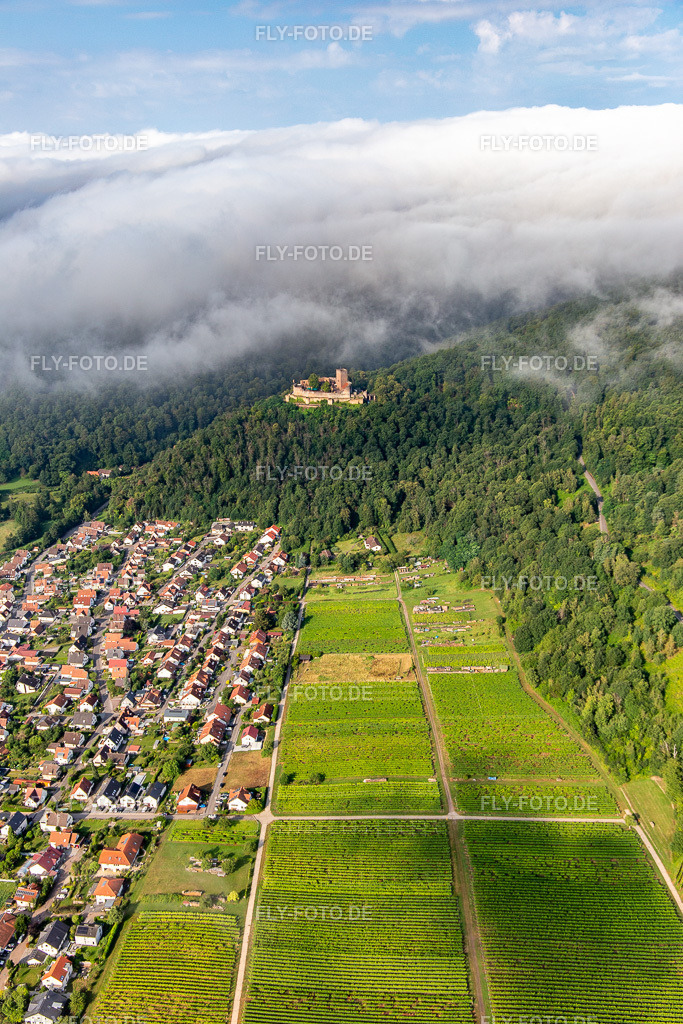 Burg Landeck am Morgen unter tiefen Wolken https://www.landeck-burg.de/ | Luftbild: Burg Landeck am Morgen unter tiefen Wolken https://www.landeck-burg.de/ in Klingenmünster im Bundesland Rheinland-Pfalz in Deutschland. Foto: IMG_142938.jpg vom 03.08.2024 durch ©2025 Werner Riehm fly-foto.de/copyright - Realisiert mit Pictrs.com