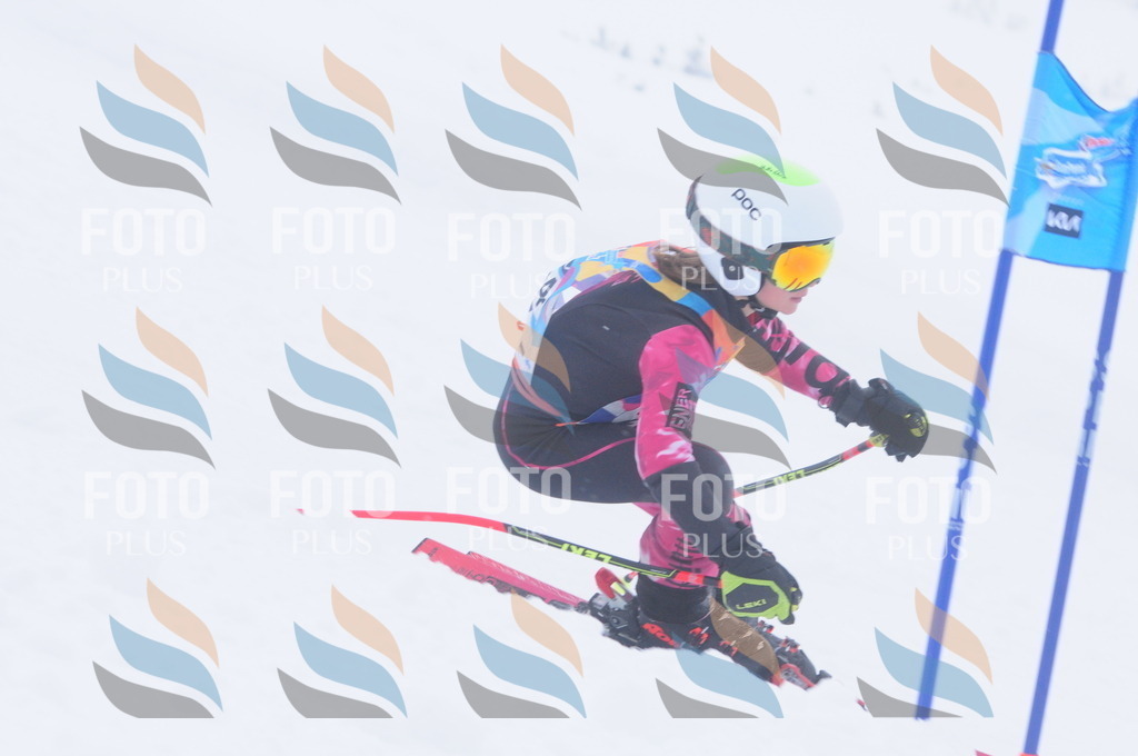 C2524 | holidayphoto