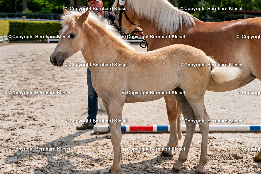 2A909682 | foto-team-bernhard - Realisiert mit Pictrs.com