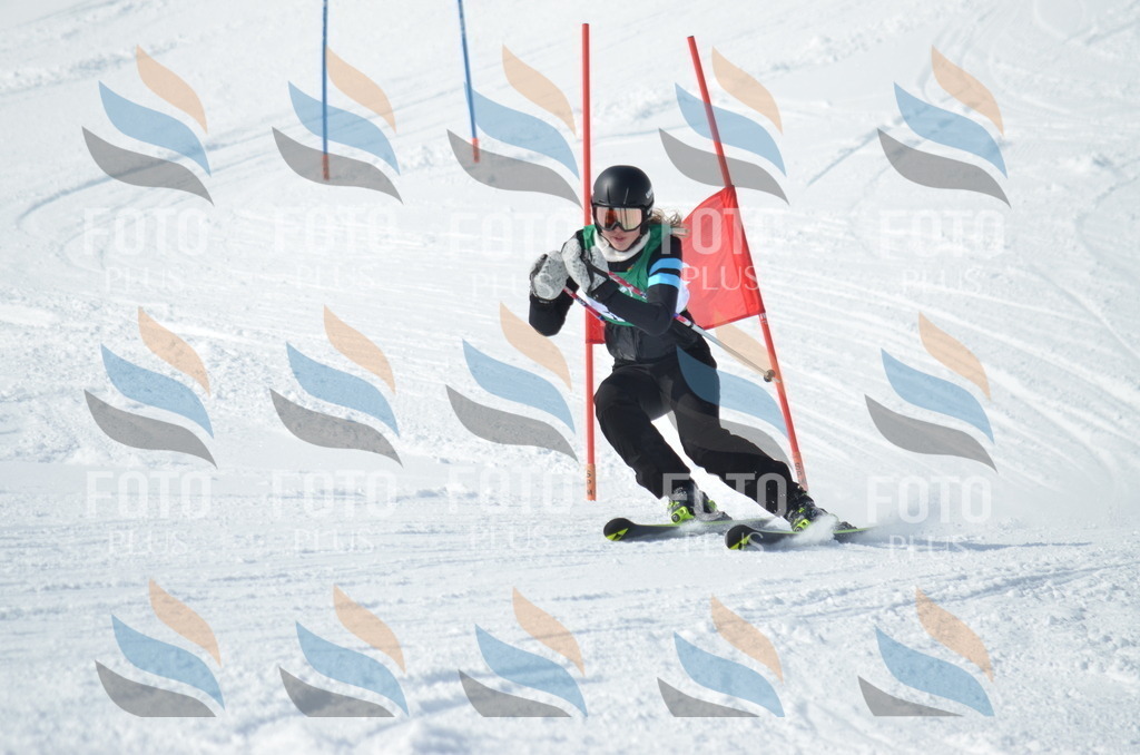 D9179 | holidayphoto