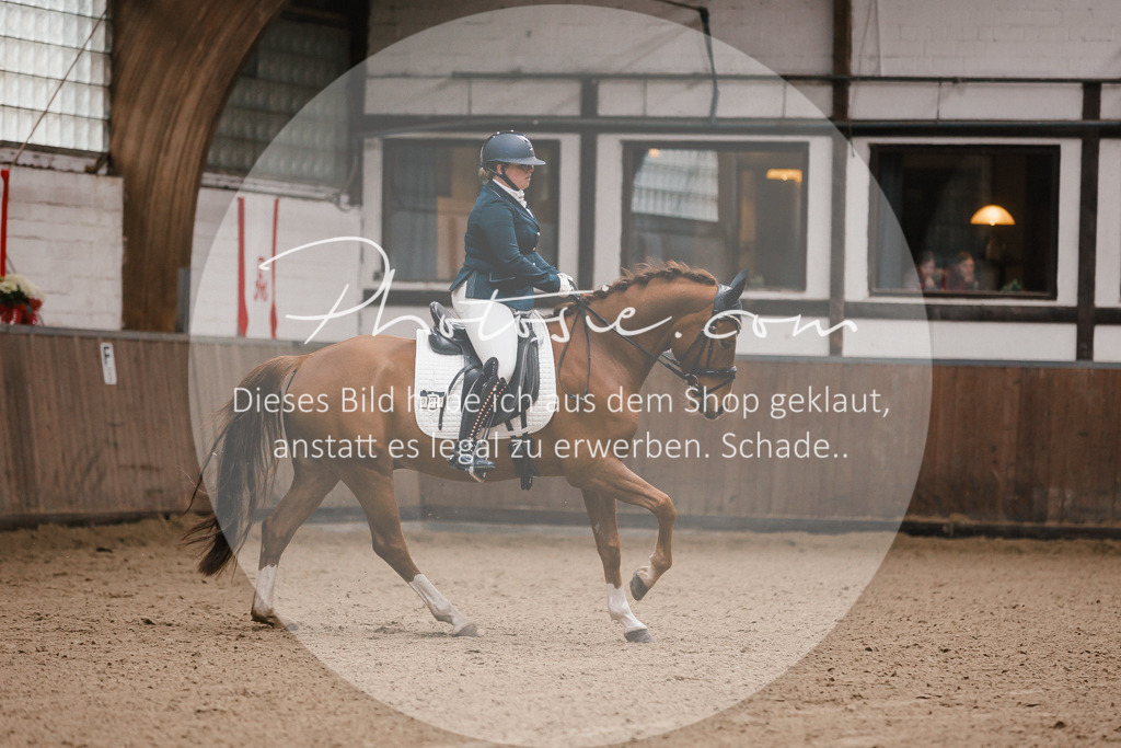 3I6A7148 | Stimmungsvolle Portraits und Reitsportfotografie im Ruhrgebiet und im Münsterland.

Pferdefotografie, Hundefotografie, Tierfotografie, Reportagen, Portraits von Tier und Mensch, Turnierfotografie in Bochum, Recklinghausen, Marl, Haltern am See, Dülmen.. - Realisiert mit Pictrs.com