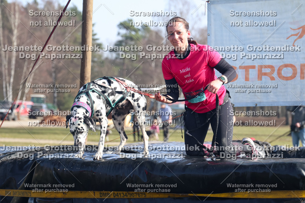 Dog Paparazzi - Strongdog North Mrz26-1474 | Dog Paparazzi Jeanette Grottendiek Fotografie & Videografie - Realisiert mit Pictrs.com