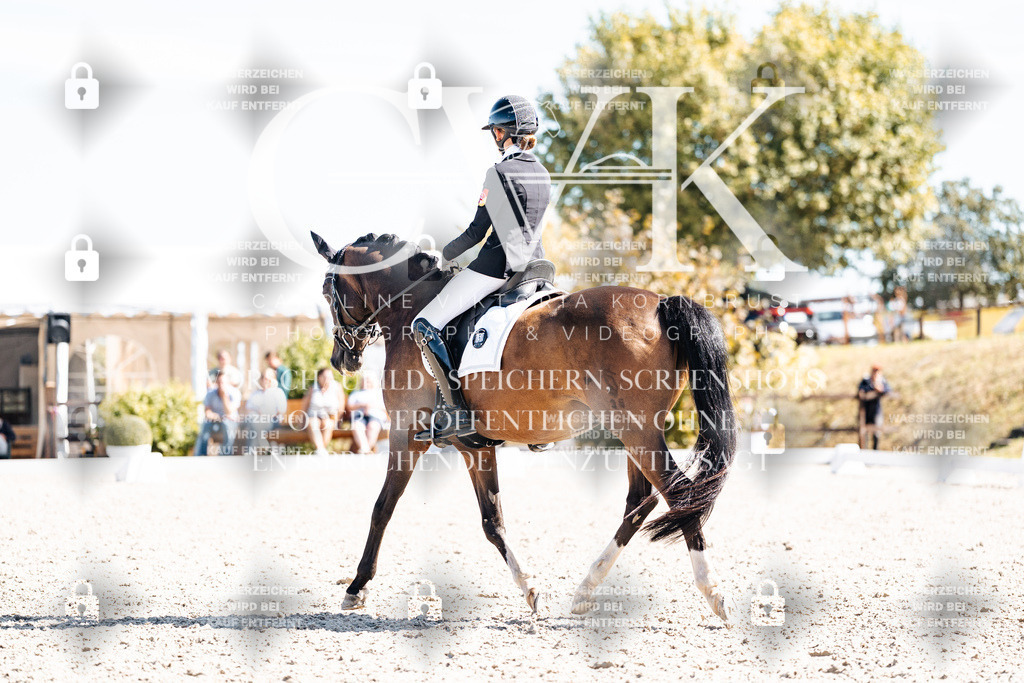 CK909611 | Turnierfotografie Pferdefotografie Trier Rheinland-Pfalz Pferdesport Reitsport Tierfotografie Sportfotografie Pferdevideo Pferdevideografie Equestrianvideography equestrianphotography  - Realisiert mit Pictrs.com