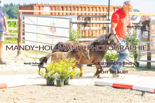 _MG_0632 | mandyhollmannphotographie