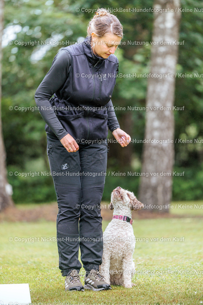 RO-Blumenthal-2026-Nickbest-Hundefotografie-0325 | Dein Hund! Dein Moment! Deine Erinnerungen! Hundefotografie in Bremen Blumenthal. Ich fange die besonderen Momente deines Vierbeiners ein – ob Indoor mit Blitzanlage oder in der freien Natur. Sicher dir dein Moment und dein Termin für eure Erinnerungen.