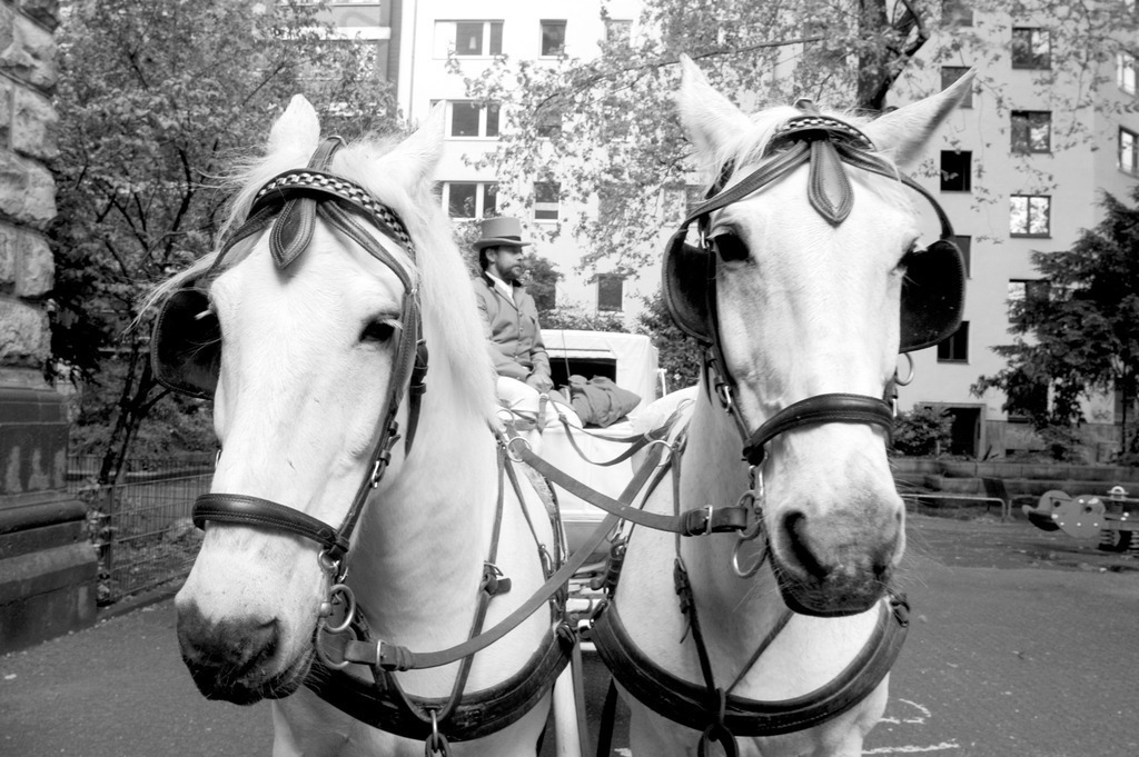 wedding_sw0538 | Fotograf Köln - Realisiert mit Pictrs.com