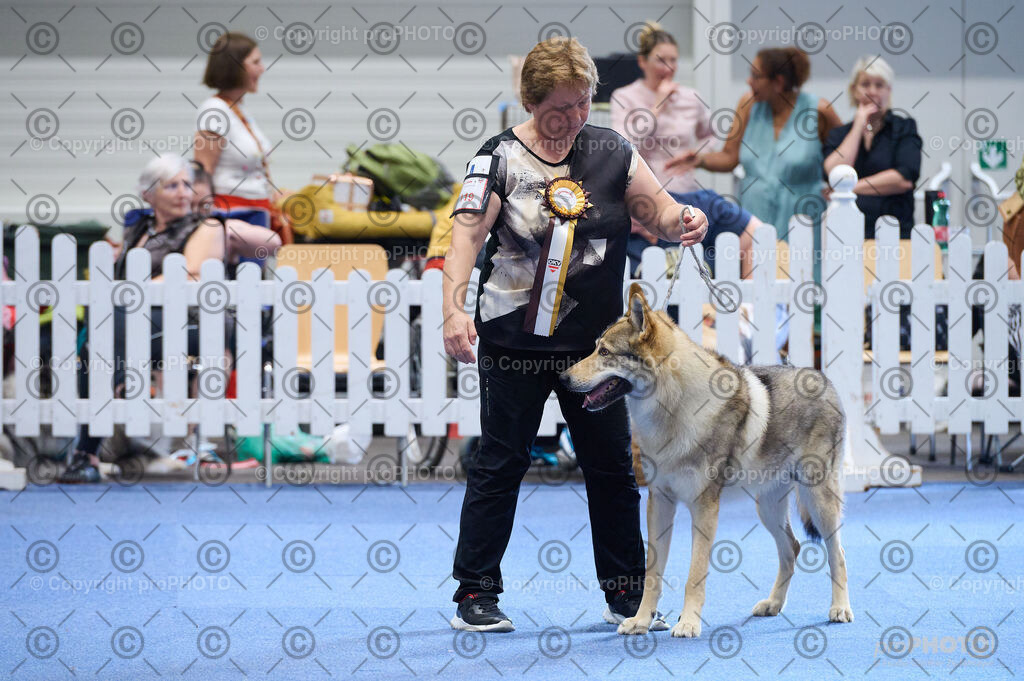 202406_ÖKV-IHA-Tulln24_DSC_4888 | proPHOTO - Realisiert mit Pictrs.com