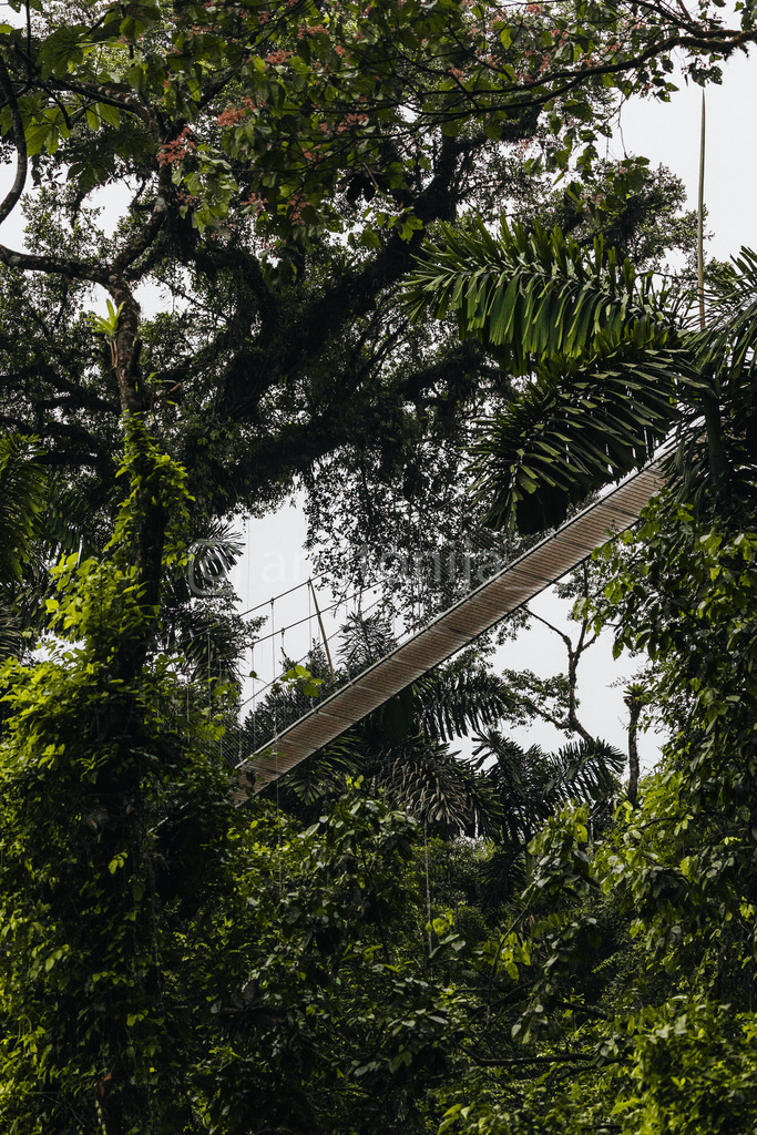 JB3A1961 | antonija-trupina - Realisiert mit Pictrs.com