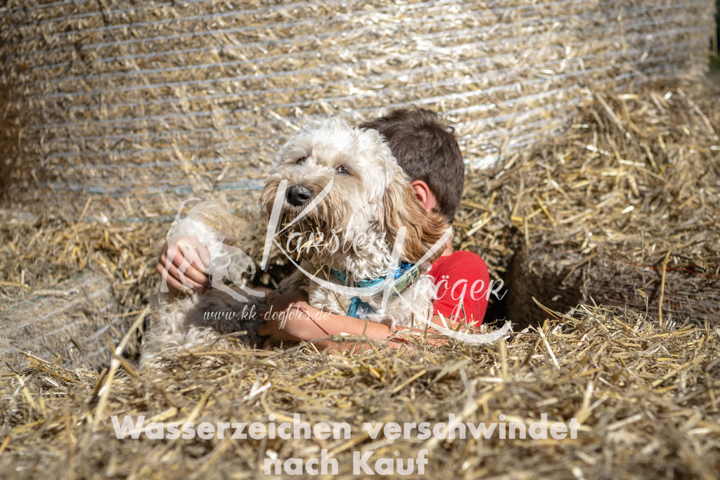 1214_ZZ90867-2 | kk-dogfotos