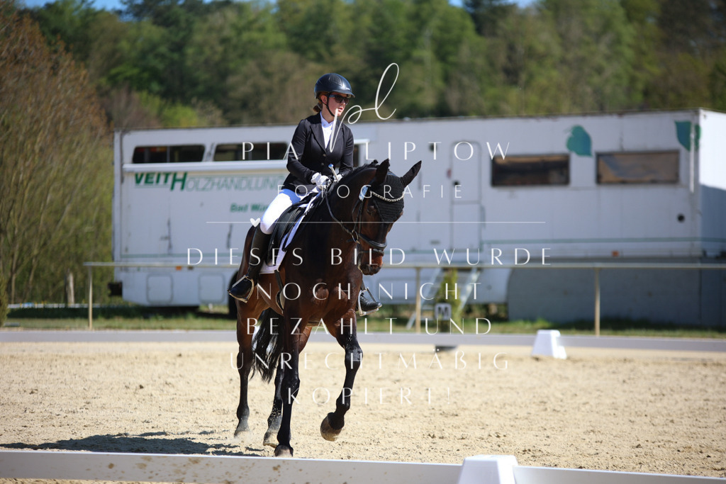 IMGT2004 | pl-fotografie