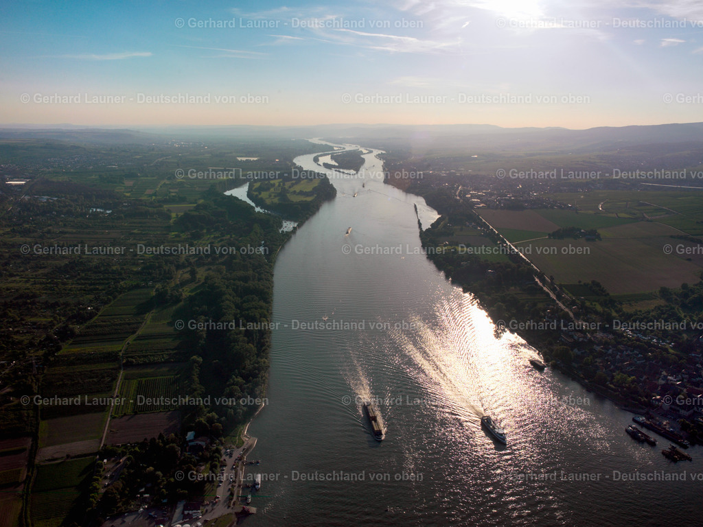 24s05015 | Rhein bei Eltville