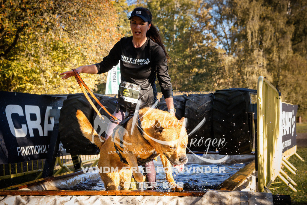 0938_ZZ91555 | kk-dogfotos