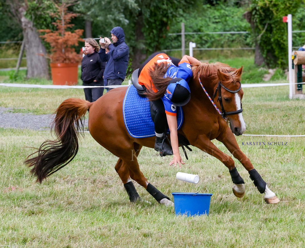 1B3A1249 | Reitsport Reiten