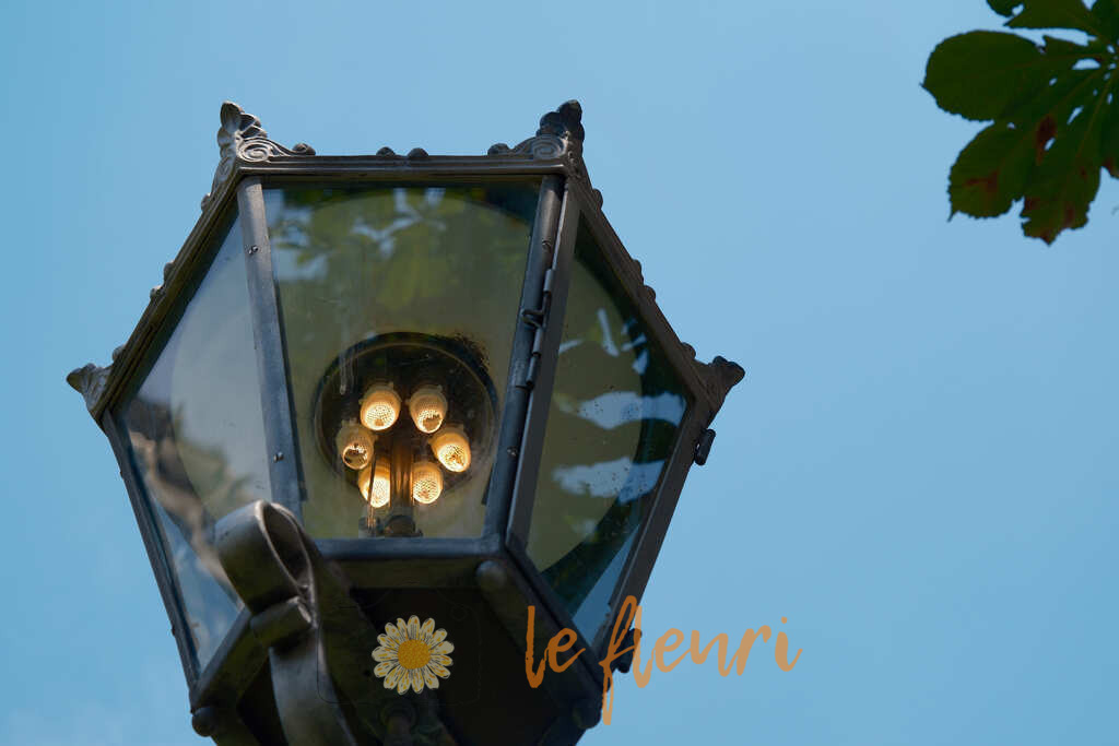 Bist Du jetzt erhellt? | Dies ist der Shop von Florian Blum - le fleuri. Langenthal, Bern, Schweiz. Sie können hier meine oder ihre eigenen Fotos als Fotoprodukte kaufen. Tassen, Schlüsselanhänger, Taschen etc. können Sie hier gestalten.  - Realisiert mit Pictrs.com