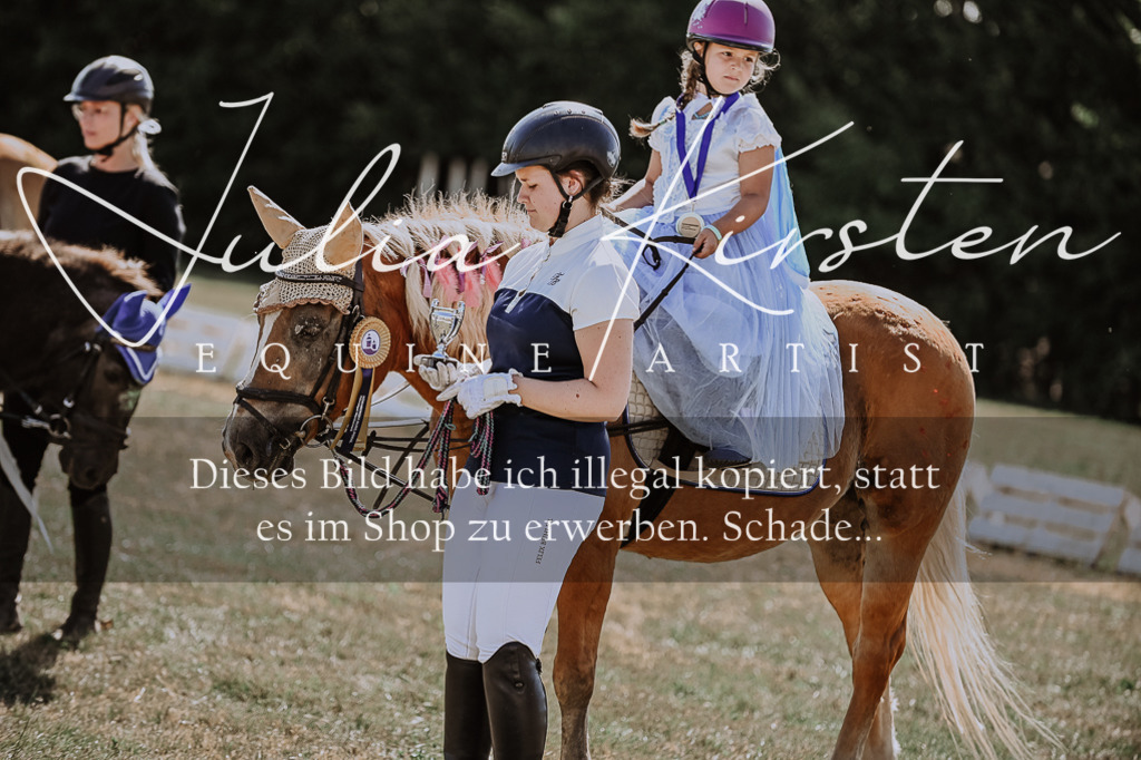 DSC_8948 | Pferde- und Turnierfotografie in Westsachsen. Pferdeportraits, Auftragszeichnungen und intuitive Kunst.