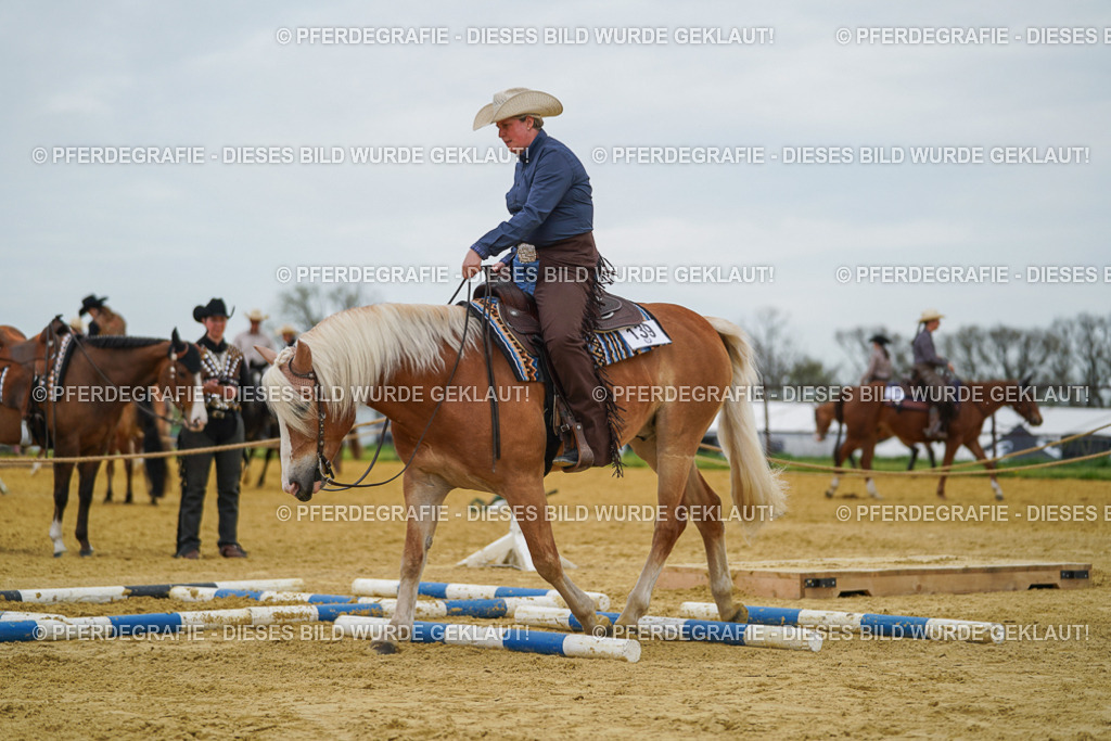 DSC02810 | Pferdegrafie