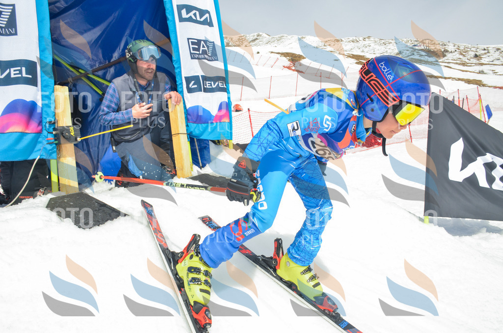 _ELE7777 | holidayphoto