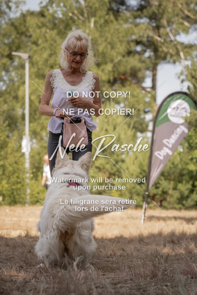 nelerasche_soDD2_189 | nelerasche