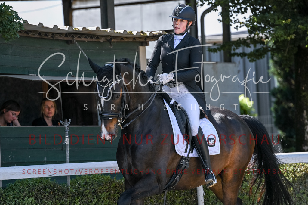 Schugtsche-Aluta25-58. Dressurprf.S1Kand.St.GeorgSpecial-193 | Schugtsche Fotografie - Realisiert mit Pictrs.com