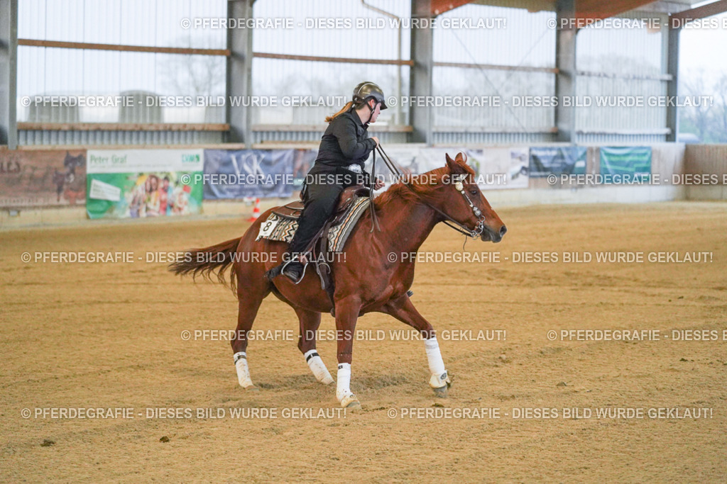 DSC09311 | Pferdegrafie