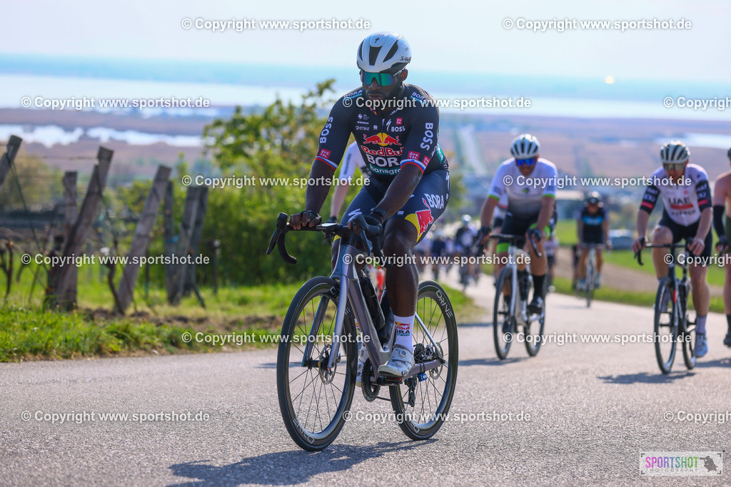TRA_0566 | Neusiedlersee Radmarathon 2026@sportshot_your_pictrs #yourpictures#roadtowm2029 #nrm #neusiedlerseeradmarathon #neusiedlersee #neusiedlerseetourismus #burgenland #mörbisch #nrm26 #burgenlandtourismus #voglundco #poweredbyburgenlandtourismus #radsport #rad #marathon #ucigranfondo #visitburgenland #ucigranfondoworldseries