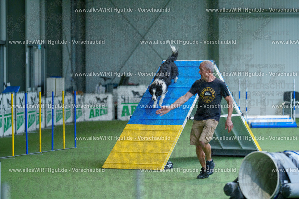@allesWIRTHgut_Tierfotografie - www.allesWIRTHgut.de - 2604261508-7R504654 | Professionelle Tierfotografie in Mönchengladbach von Daniel Wirth (allesWIRTHgut). Liebevolle & natürliche Bilder von Hunden & Katzen für unvergessliche Erinnerungen.