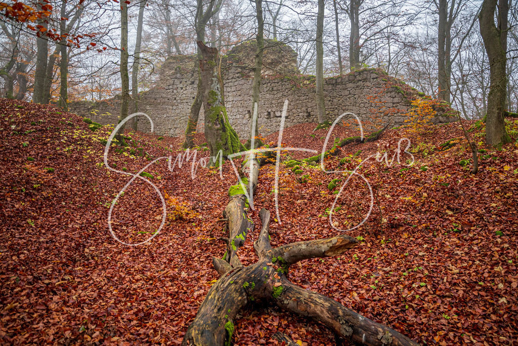 Burgruine Adelburg | simonsuess - Realisiert mit Pictrs.com