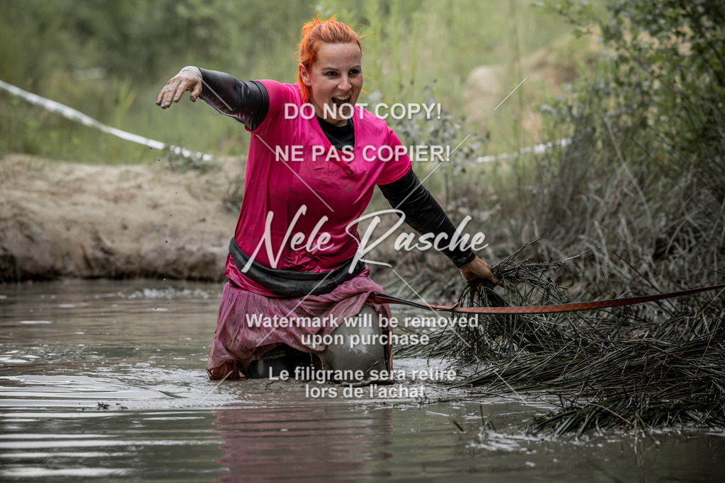 nelerasche_so1445-1515_364 | nelerasche