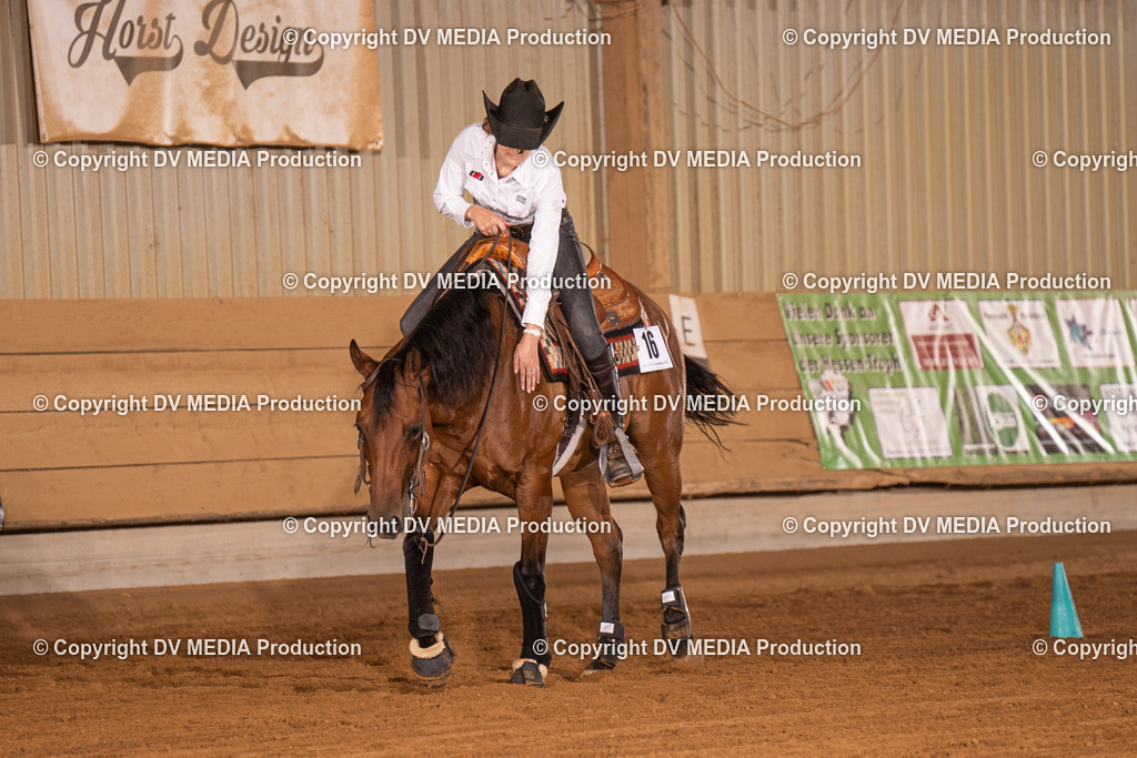 NID01206 | dv-media-shop - Realisiert mit Pictrs.com