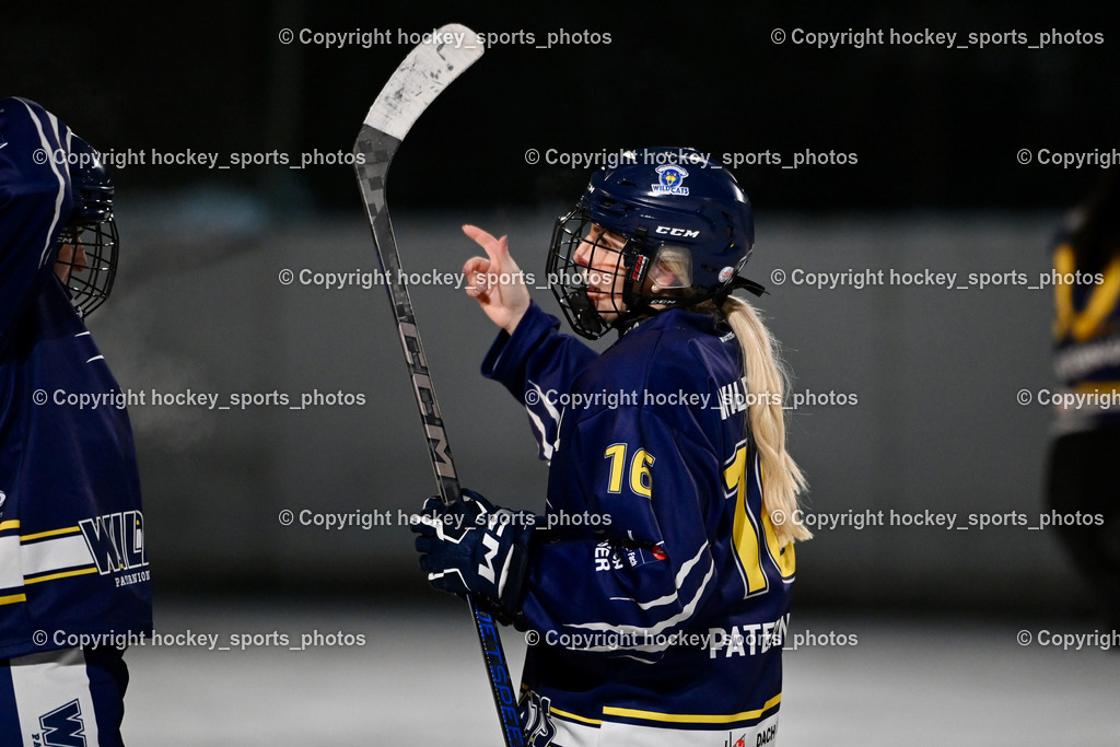 Wildcats Paternion vs. Unicorns Steindorf | #16 Anton Sandra WILDCATS PATERNION, Wildcats Paternion vs. Unicorns Steindorf, Wildcats Paternion vs. Unicorns Steindorf am 02.01.2026 in Paternion (Eislaufplatz Paternion), Austria, (Photo by Bernd Stefan)