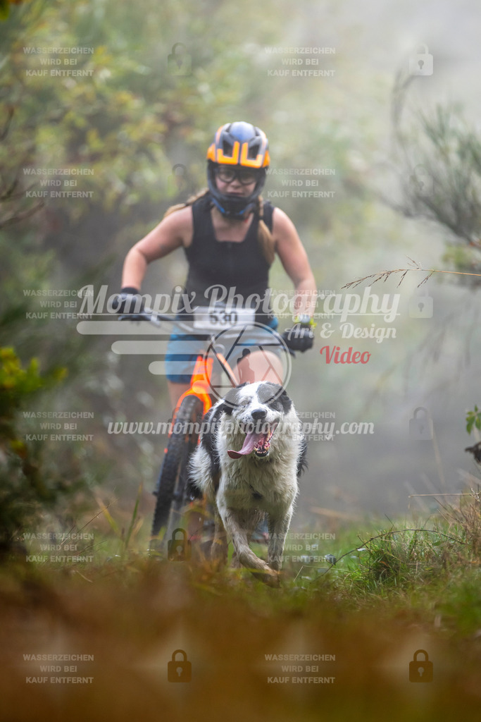 MompixPhotography_20TSB_E4_DS1-55 | PayLife