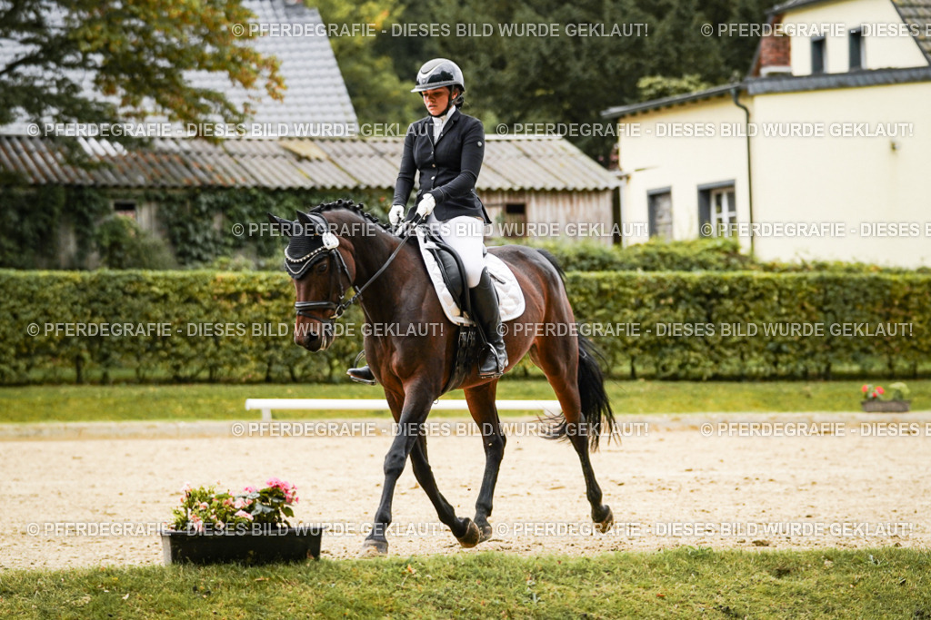 DSC07113 | Pferdegrafie