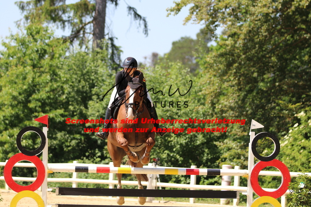 IMG_2642 | lmwpictures - Realisiert mit Pictrs.com