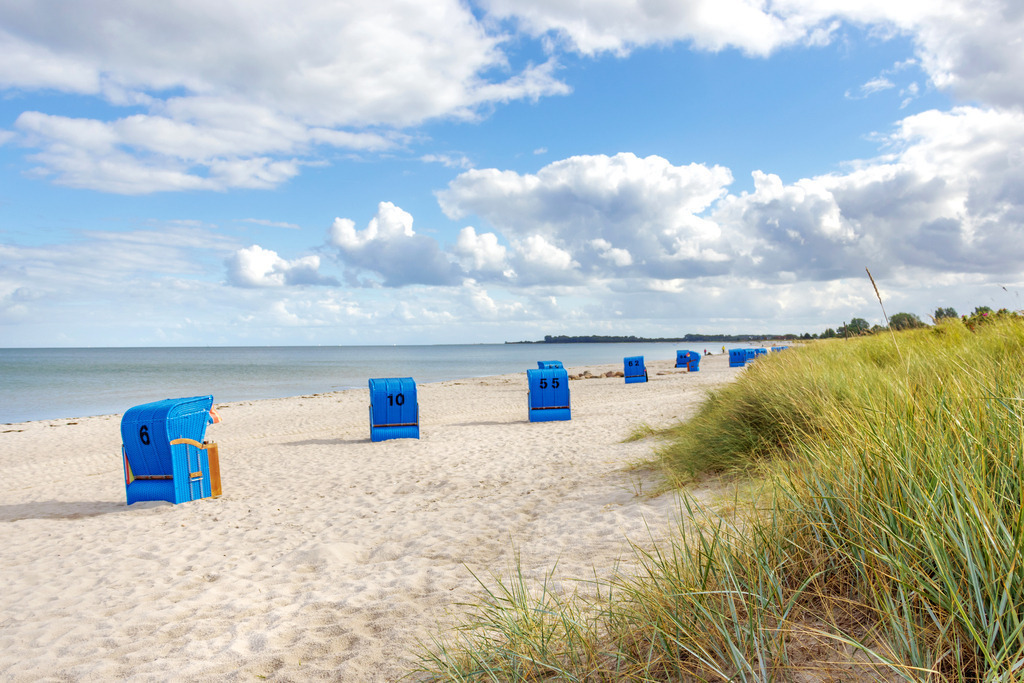 Akustikbild: Strandkörbe und Strandhafer an der Ostsee | Dieses Akustikbild im Querformat zeigt blaue Strandkörbe am Sandstrand im Sommer. Auf der rechten Seite ist Strandhafer direkt am Strand zu sehen. Der Himmel ist blau mit zahlreichen hellen Wolken - Realisiert mit Pictrs.com