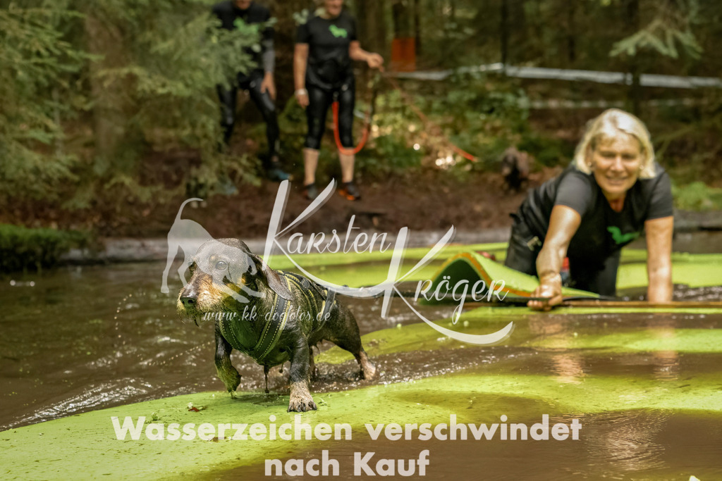 1222_ZZ94098-Bearbeitet | kk-dogfotos