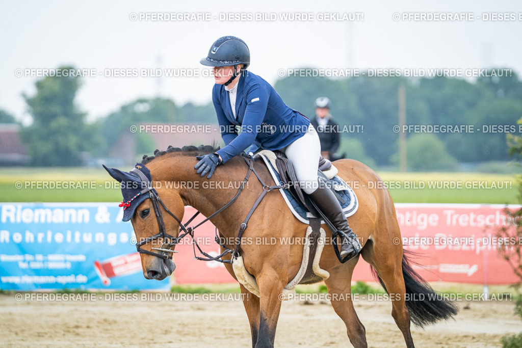 DSC01889 | Pferdegrafie