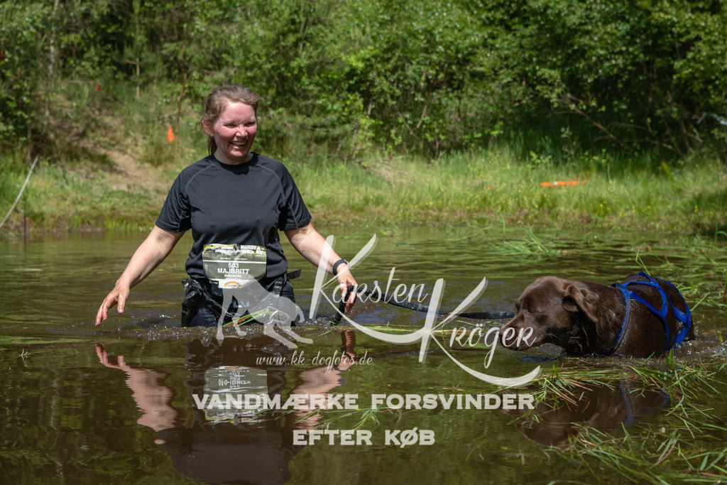 1143DKK990965 | kk-dogfotos