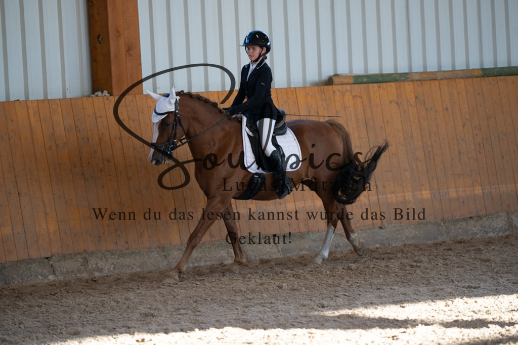 A7V01711 | Turnier/Reitfotograf