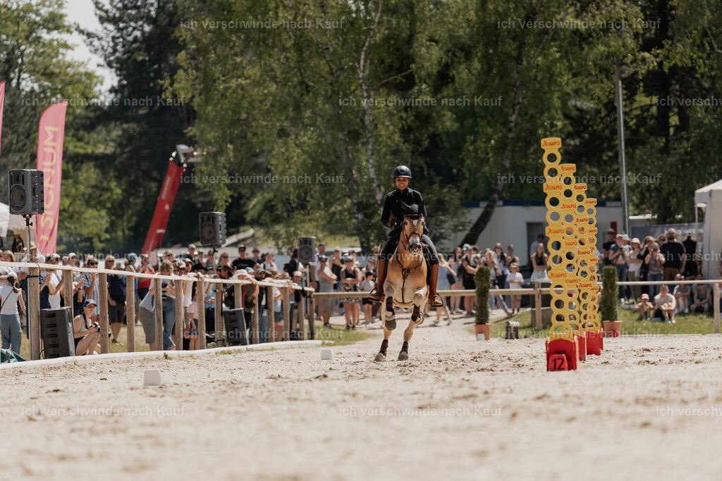 WE_SP_Stoib_308_PI2025_1635 | Pferd International München 2025