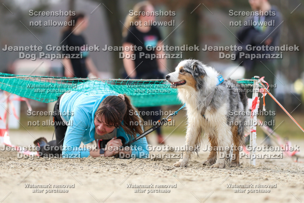 Dog Paparazzi - Strongdog North Mrz26-5183 | Dog Paparazzi Jeanette Grottendiek Fotografie & Videografie - Realisiert mit Pictrs.com