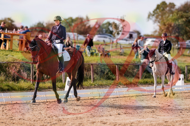 2026_10_03_Siefer-Hof_122625_Z81_25674708 | Professionelle Reitsport-, Turnier- und Eventfotografie von Robert Broda. Galerien mit ausgewählten und bearbeiteten Bildern direkt online ansehen und bestellen.