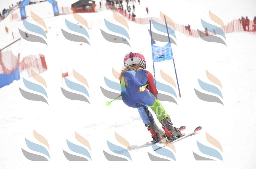 _ELE8861 | holidayphoto