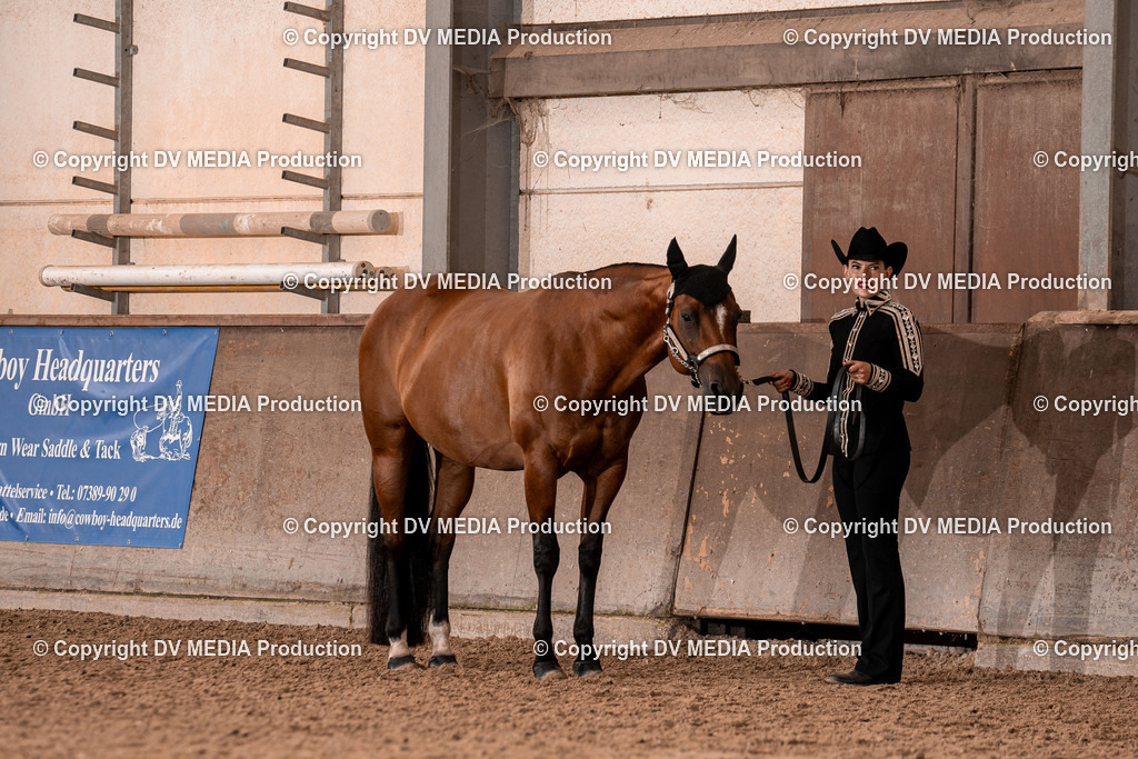 LM Heiligenwald Tag 1-326 | dv-media-shop - Realisiert mit Pictrs.com