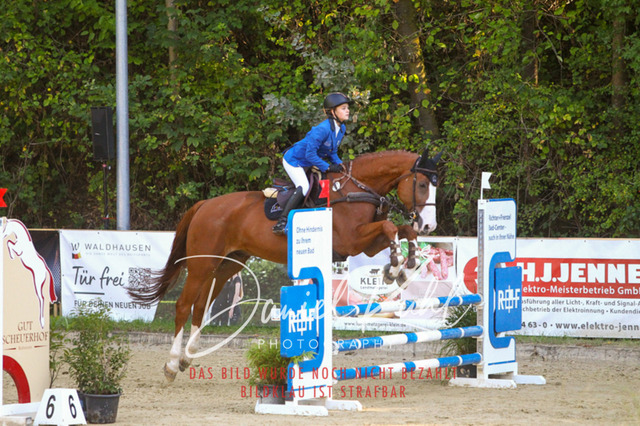 DKP42843 | Turniersportfotografie; Pferdefotografie; Dressurfotografie